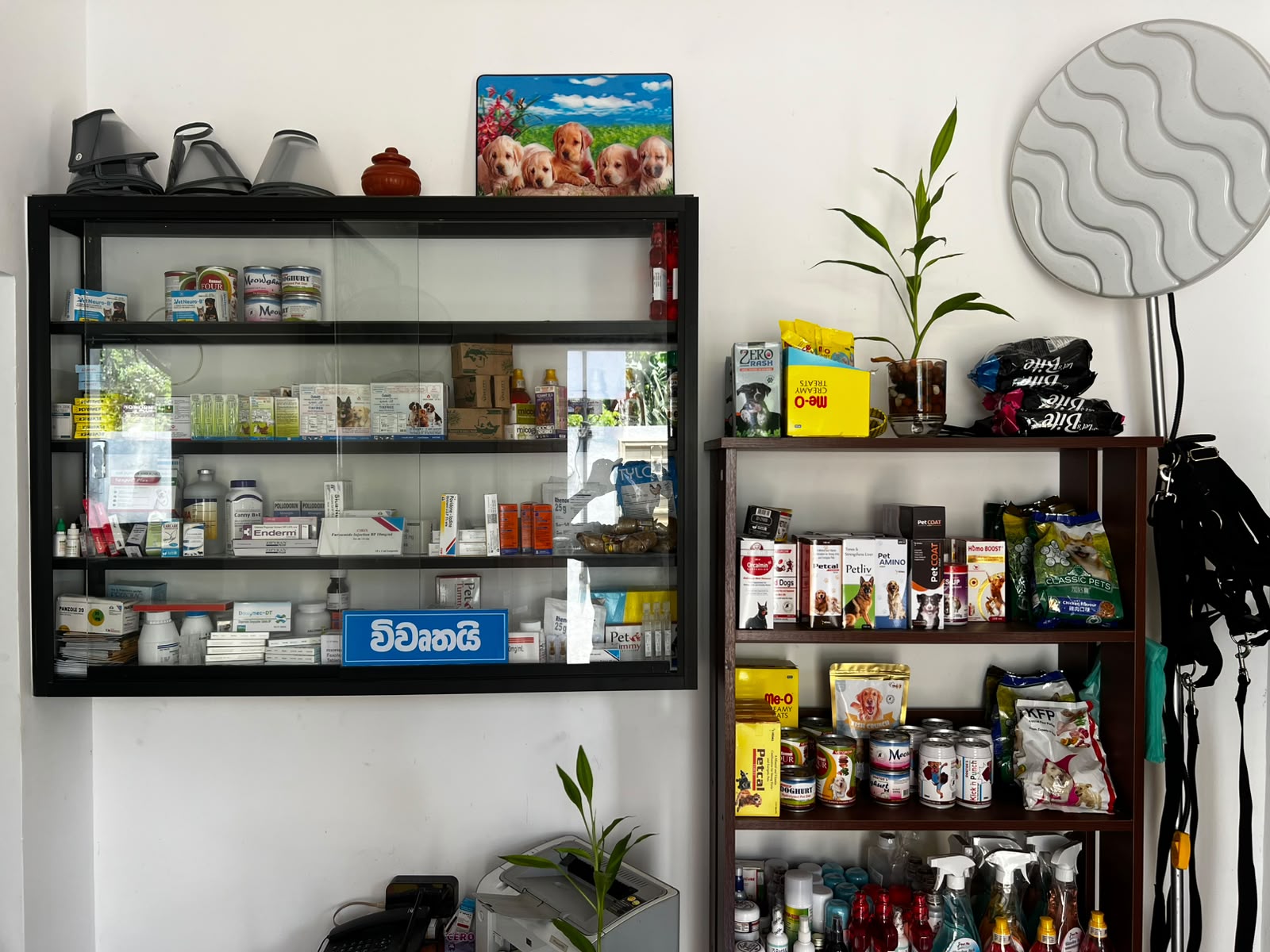V Pet Care Animal Clinic reception area showing a wall-mounted medication cabinet and open shelf stocked with veterinary products, supplements, and pet food