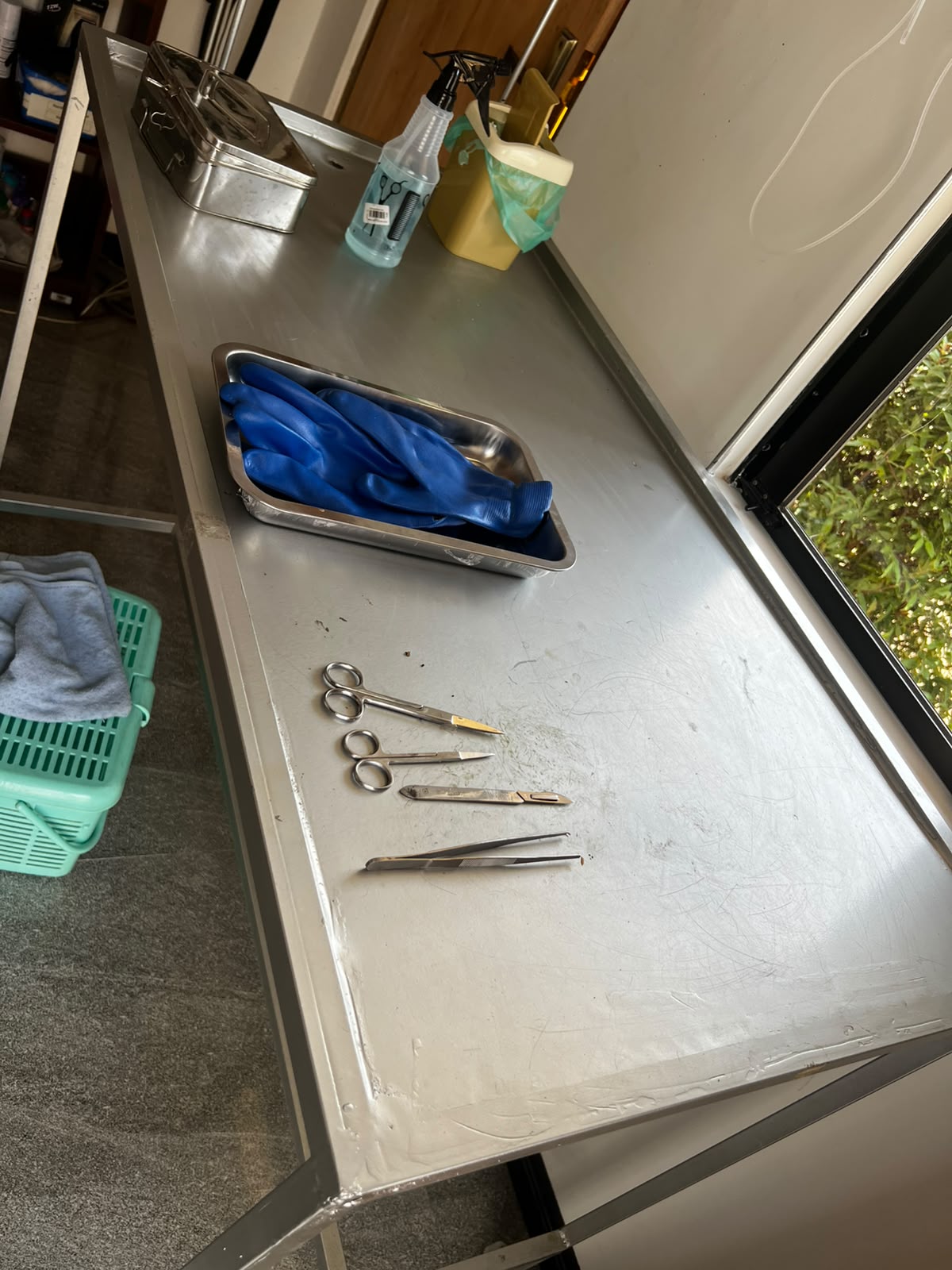 Stainless steel veterinary examination and surgical table at V Pet Care Animal Clinic with surgical instruments including scissors and forceps laid out