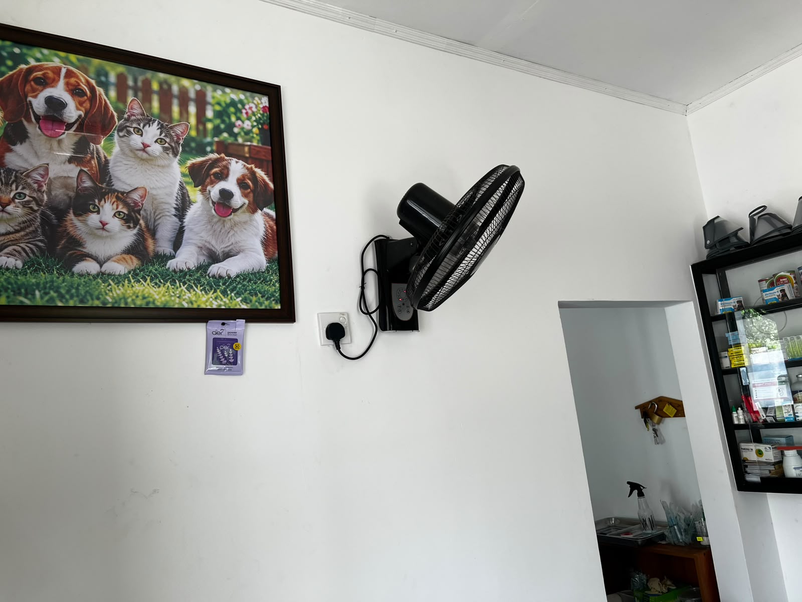 V Pet Care Animal Clinic waiting area with a large framed print of dogs and cats, wall-mounted fan, and adjacent medication cabinet